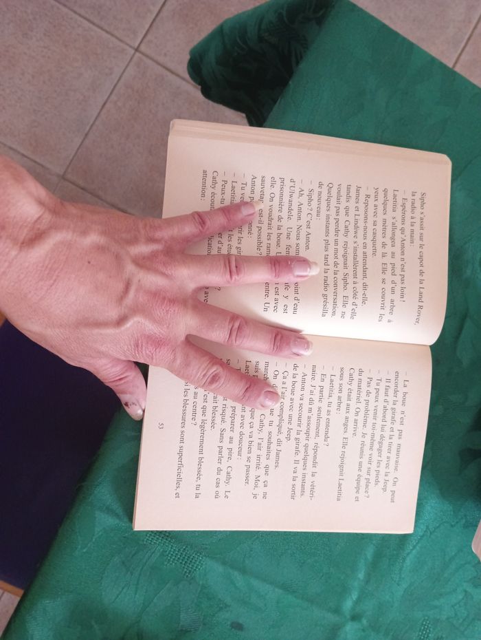 Lot de 3 livres Bayard poche - photo numéro 3