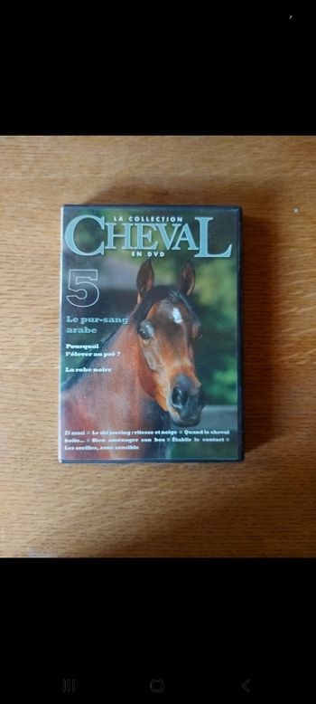 DVD