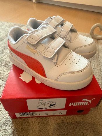 Superbes baskets puma