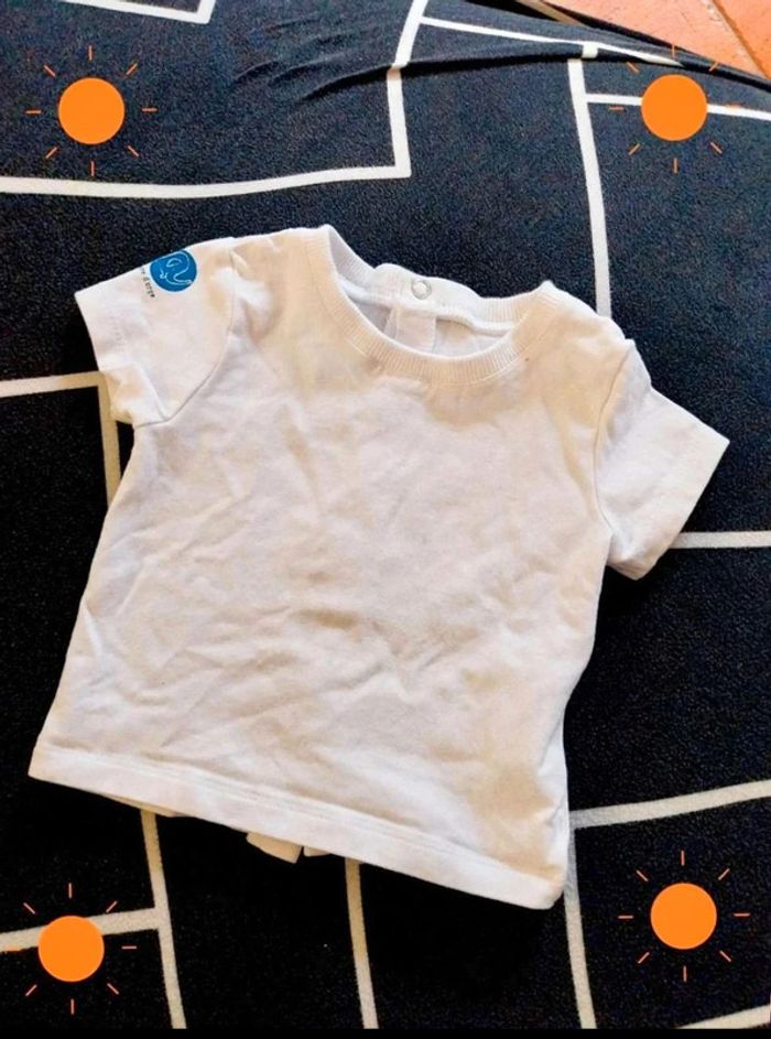 Tee shirt T 3mois MC