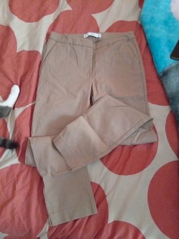 Pantalon ajusté taupe mango taille 36