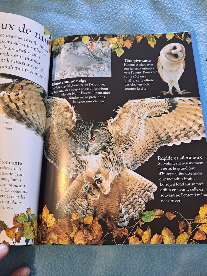 Livre les oiseaux - photo numéro 2