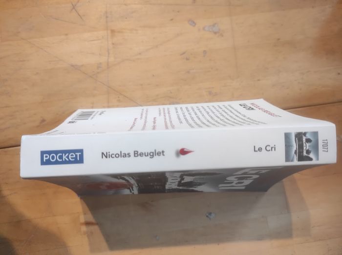 Le cri Nicolas Beuglet Pocket Thriller 2018 - photo numéro 2