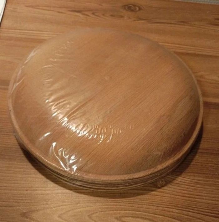 lot de 10 assiettes palmier 22.5 cm - photo numéro 2