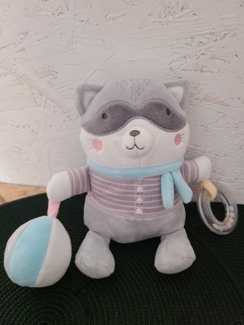 DOUDOU RATON LAVEUR PELUCHE ACTIVITES D'EVEIL MOTS D'ENFANTS