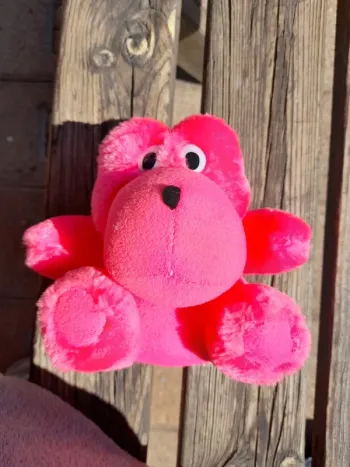Peluche / ourson rose