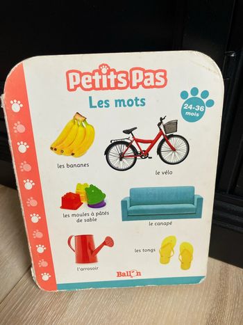 Livre « petits pas » les mots