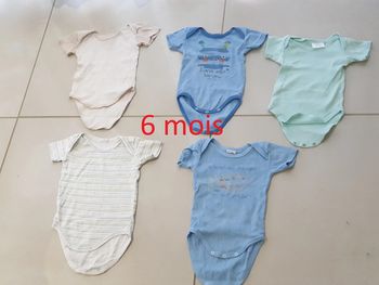 5 bodies MC 6 mois