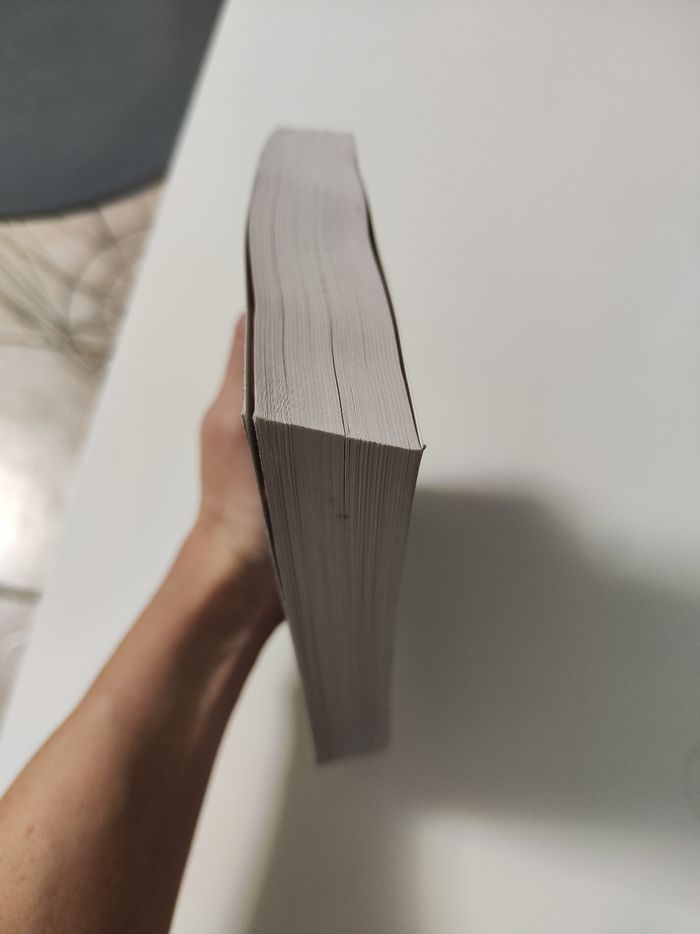 L'envol des anges. Michael Connelly - photo numéro 4