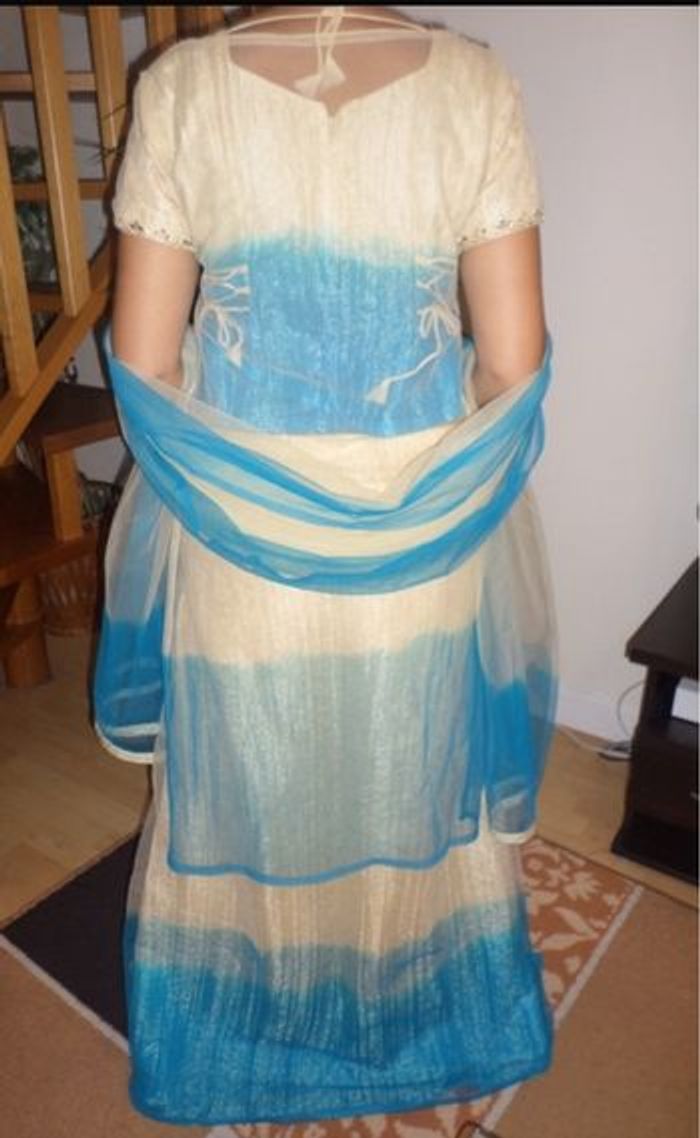 Sari indien - photo numéro 2