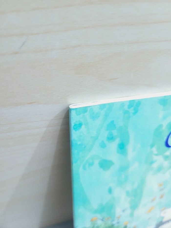 🌺 Livre (école des loisirs) : Calinours fait la fête - photo numéro 9