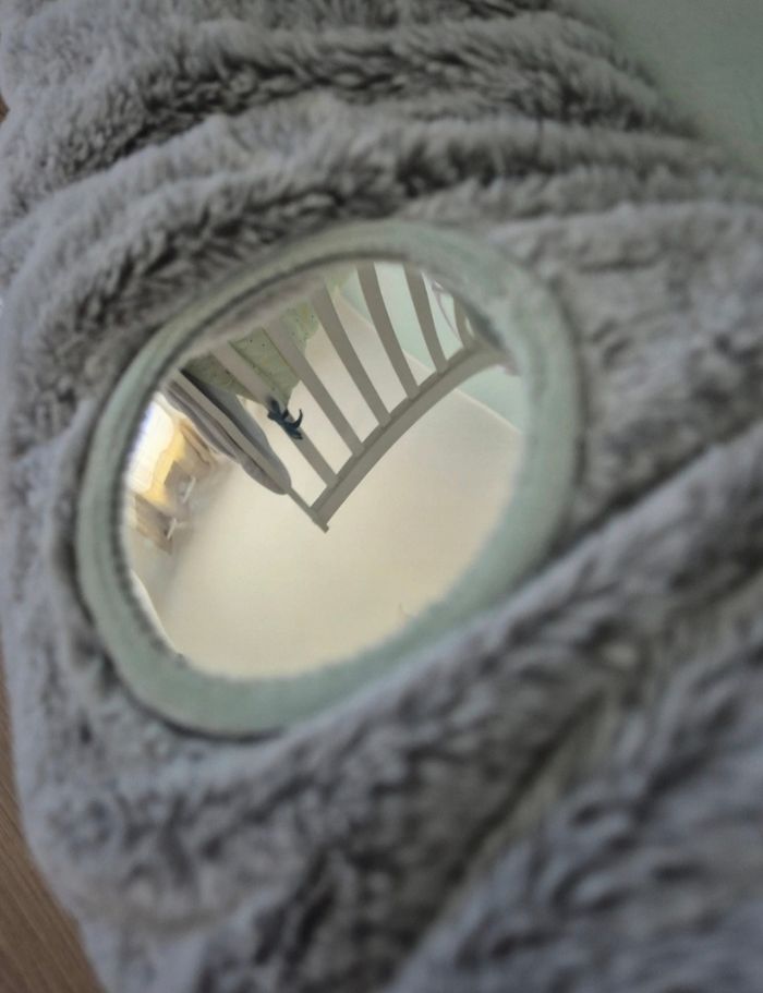 Tapis d'éveil - photo numéro 6