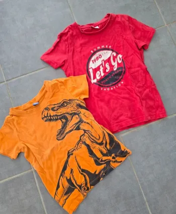 Lot de 2 tee-shirts manches courtes