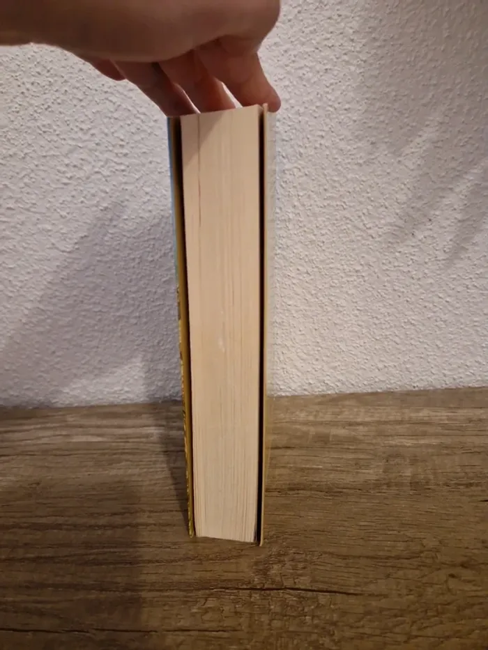 📚 livre l'enfant du moulin - photo numéro 3