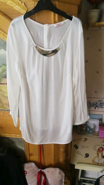Blouse haut camaieu