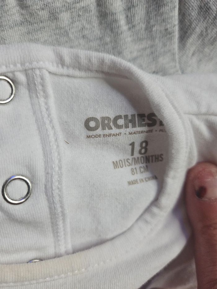 Lot body - photo numéro 5