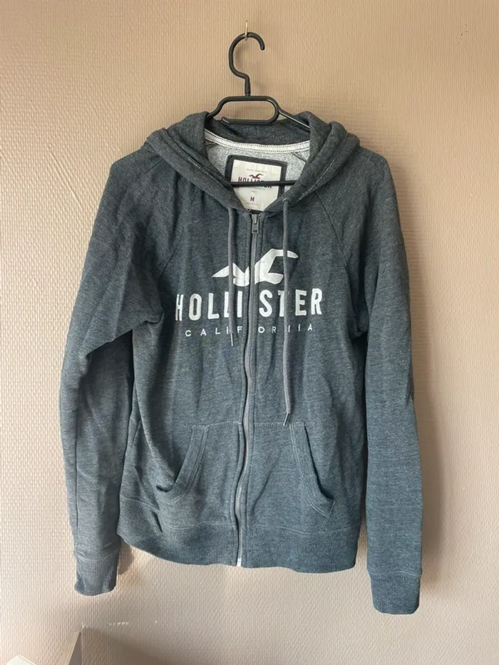 Veste à capuche hollister