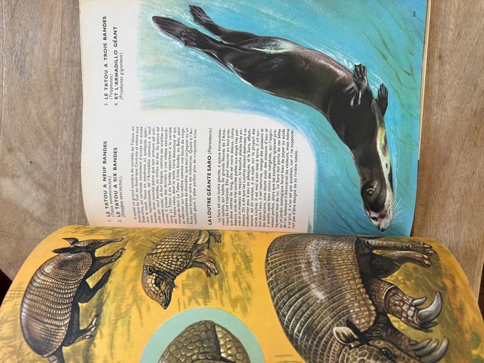 Encyclopédie ancienne animaux Robert Dallet Faune du nouveau monde Roby Lito grand format - photo numéro 14