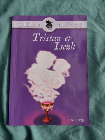 Livre : Tristan et Iseult