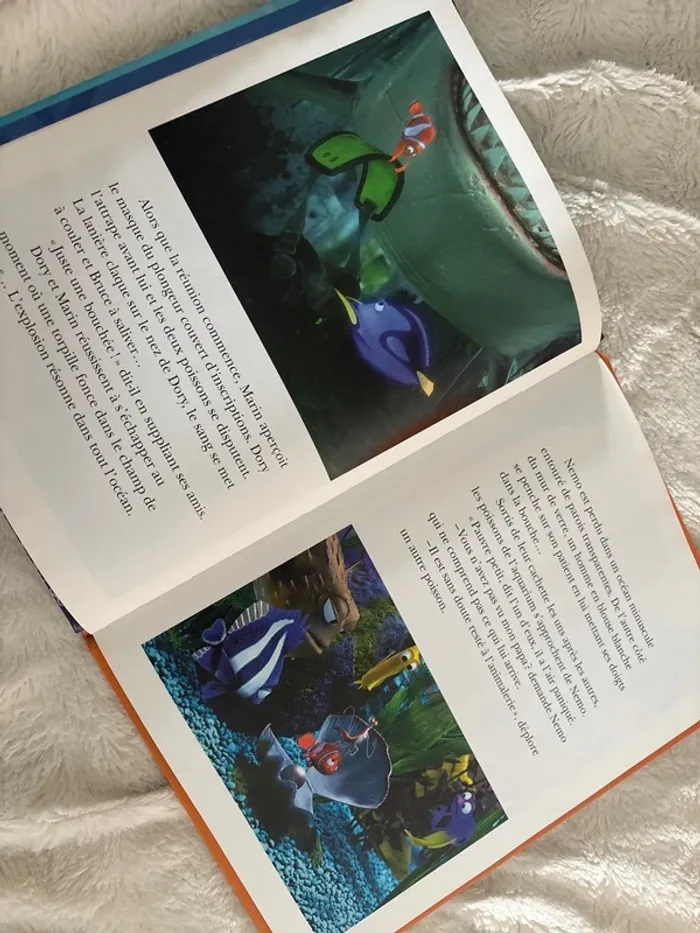 Le monde de nemo - photo numéro 2
