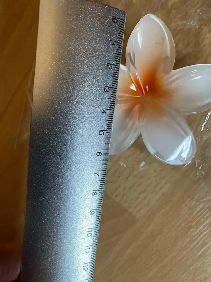 Pince à cheveux neuve - photo numéro 4