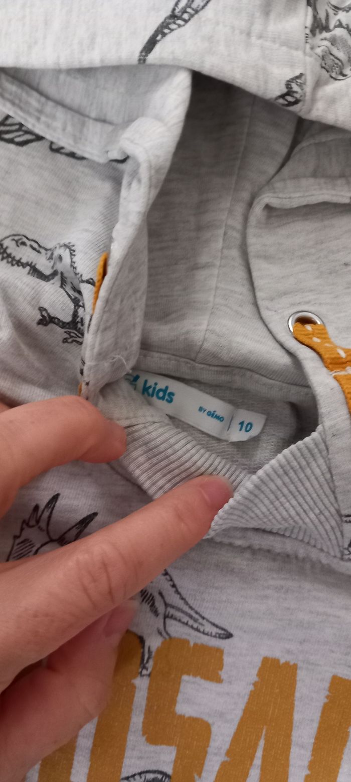 Pull dinosaures gemo 10 ans - photo numéro 2