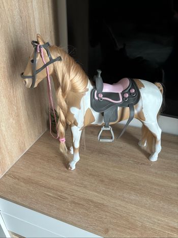 Cheval beige et blanc our génération
