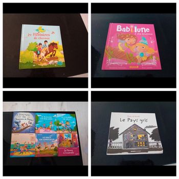 Lot de 4 livres