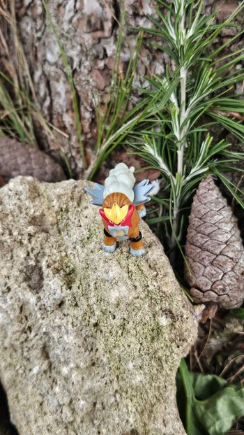 Super figurine Pokemon nintendo entei