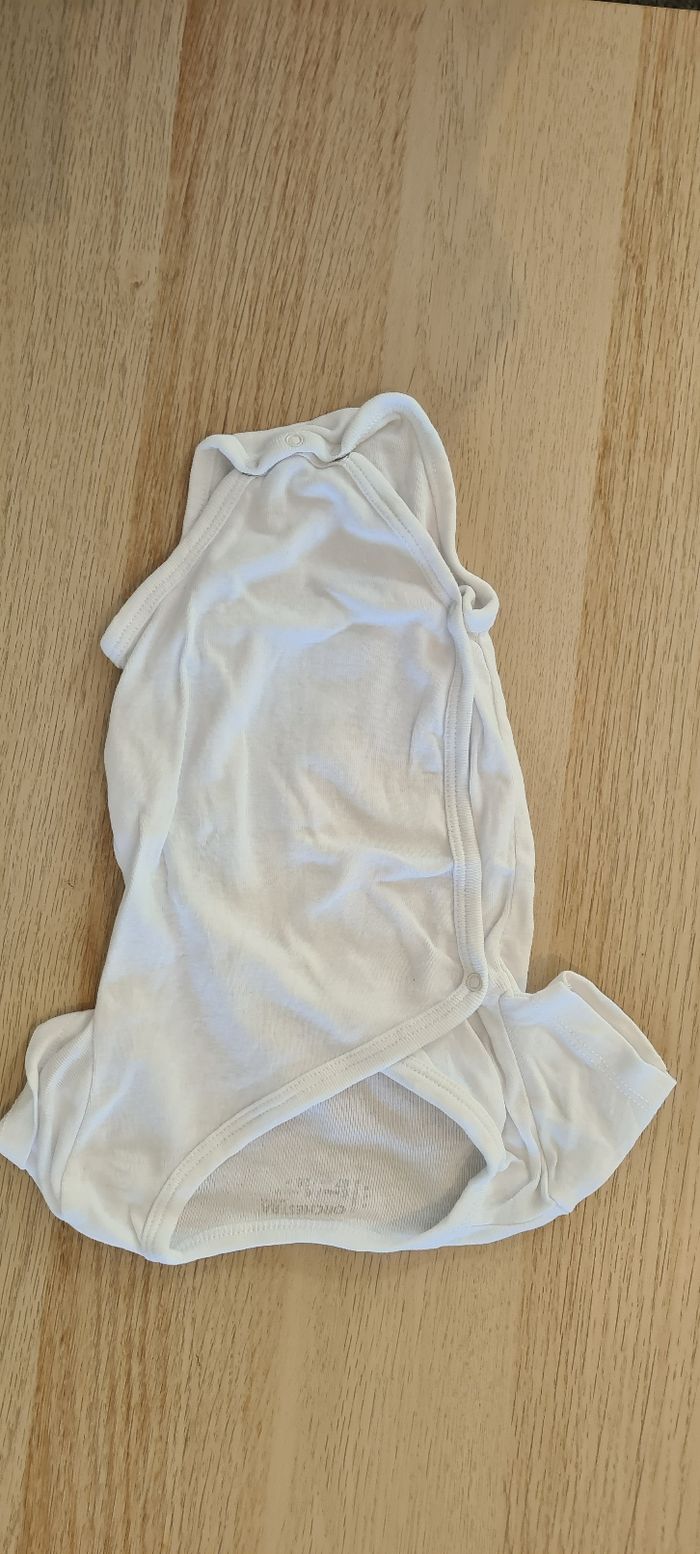 Lot bodies 6 mois manches courtes - photo numéro 3