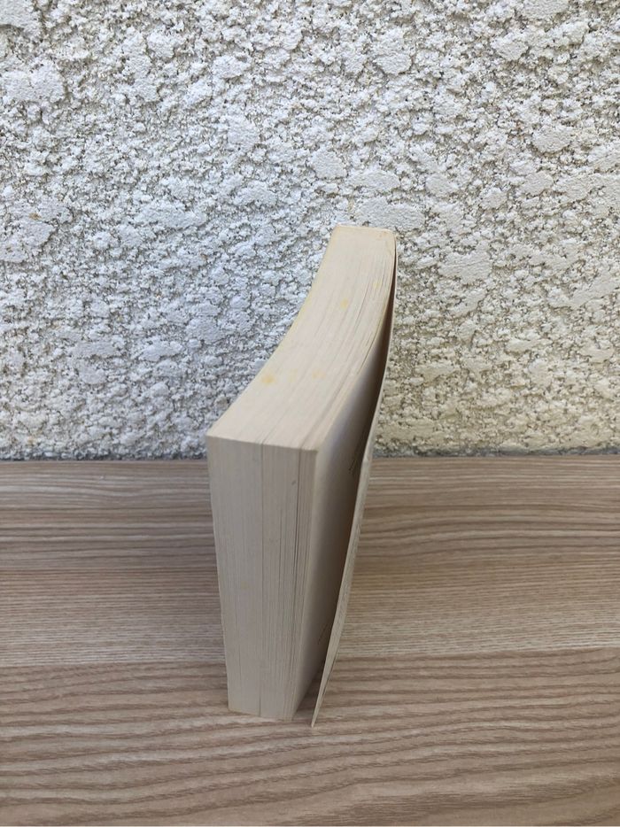 L’épopée du perroquet de Kerry Reichs - photo numéro 3
