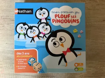 Mon premier jeu