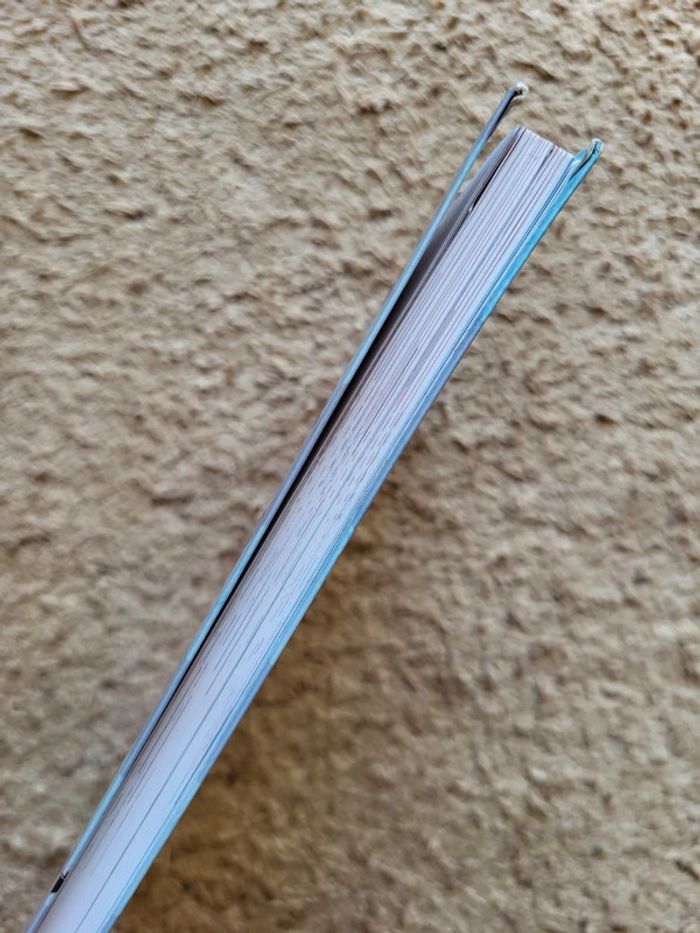 Roman jeunesse Camp Rock – Le roman du film Disney – Bibliothèque Rose - photo numéro 3