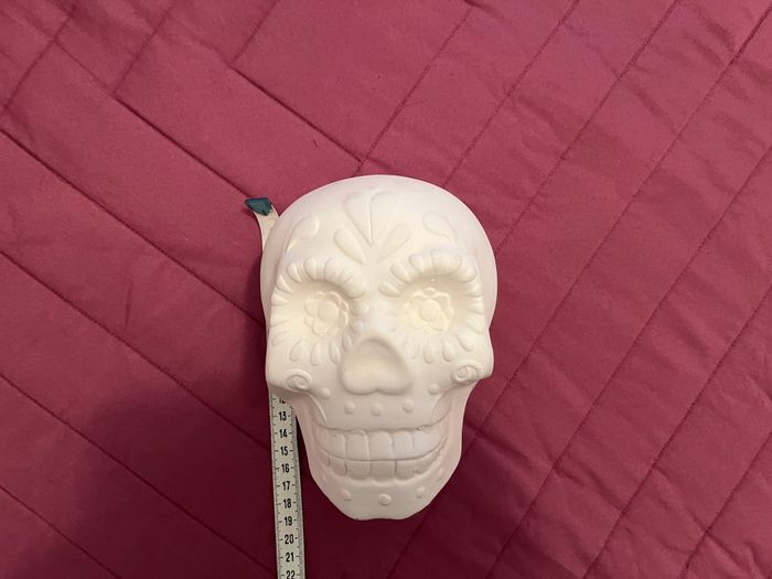 Lot Crâne en Plâtre, Peinture, Pinceau. Neufs - photo numéro 9