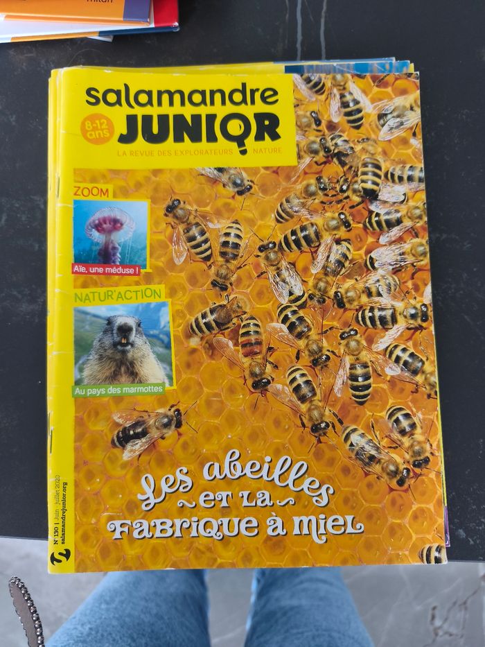 Salamandre junior - photo numéro 4