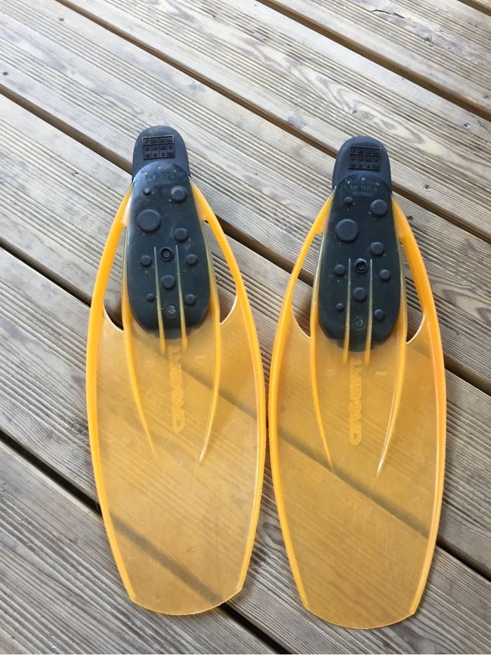 Palme 31 à 32 - photo numéro 2