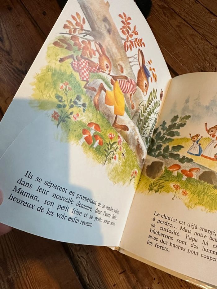 Livre ancien vintage Hemma La petite famille lapin collection petite famille cartonné - photo numéro 9