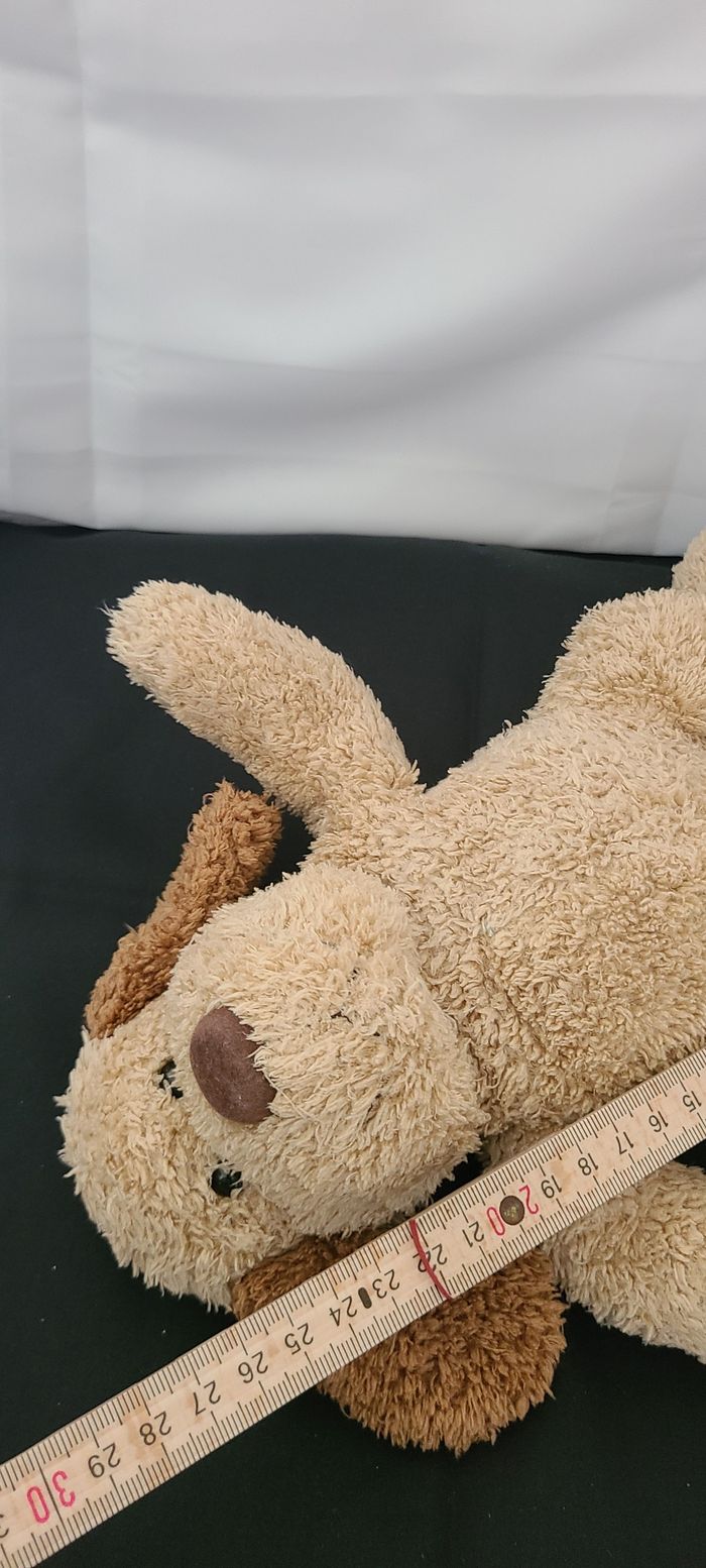 Chien HISTOIRE D'OURS doudou beige et marron - photo numéro 5
