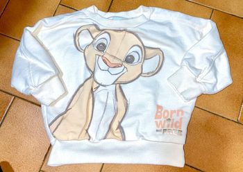 Sweat le roi lion 12 mois