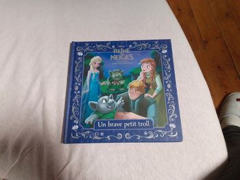 Livre reine des neiges