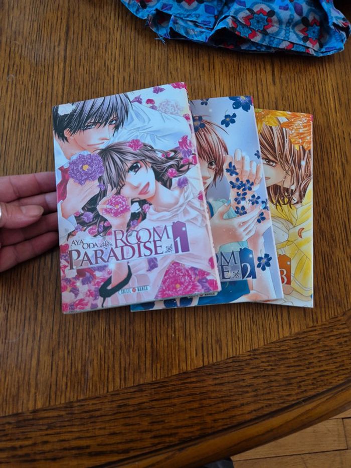manga room paradise - photo numéro 7