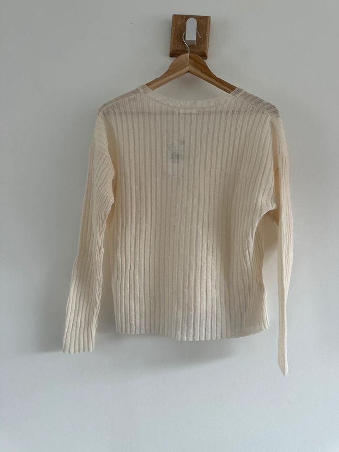 Pull mange - photo numéro 3