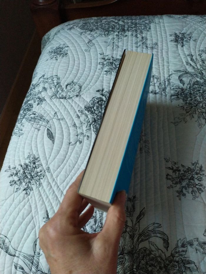 Le Porte Bonheur de Nicholas Sparks - photo numéro 5