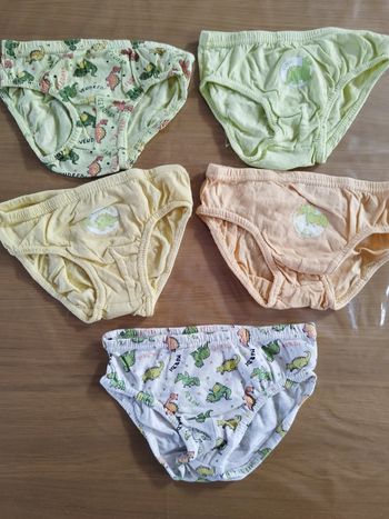 Lot de 5 slip 4 ans