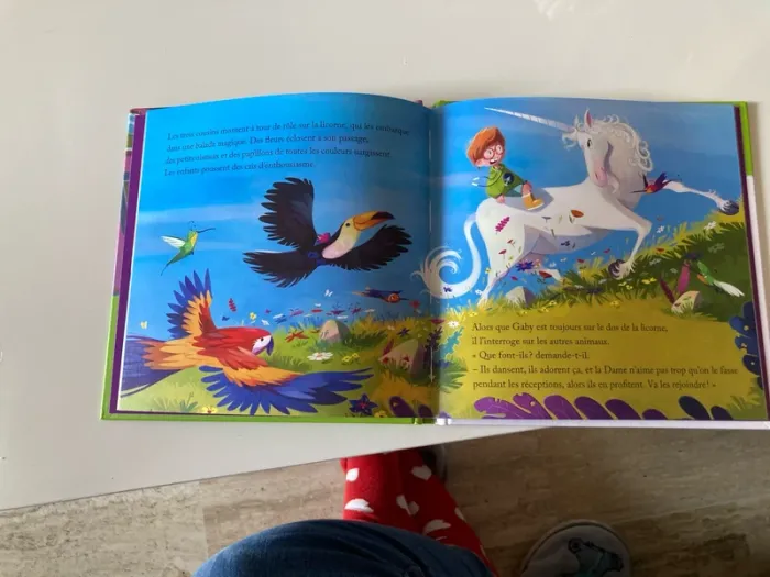 Livre McDo, la dame à la licorne - photo numéro 3