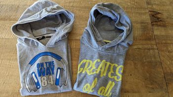 Lot de 2 sweats à capuche