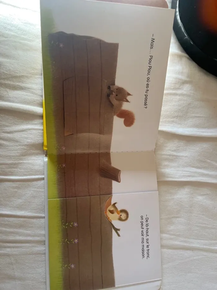 Livre piou piolet son copain - photo numéro 3