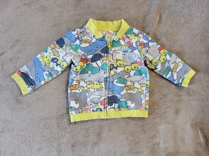 Lot vêtements garçon 2 ans - photo numéro 7