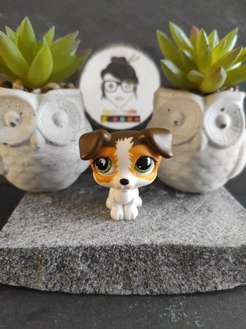 my Littlest Petshop LPS  chien dog Jack Russel 804 hasbro  #geektradelpschien