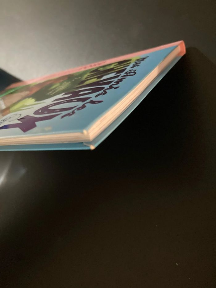 Livre le concours de beauté collection mes amis les chevaux - photo numéro 3